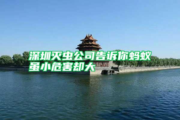深圳滅蟲(chóng)公司告訴你螞蟻雖小危害卻大