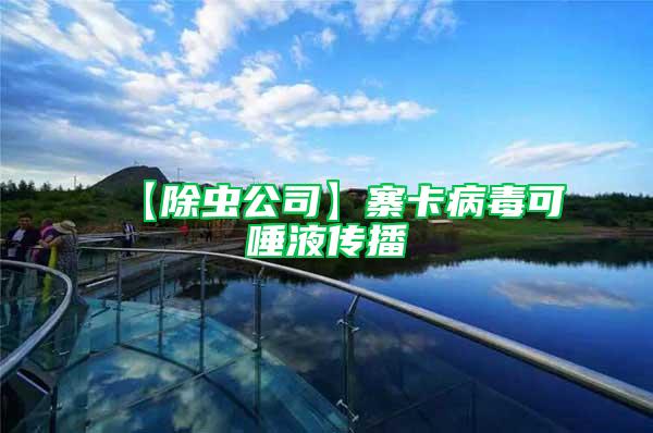 【除蟲公司】寨卡病毒可唾液傳播