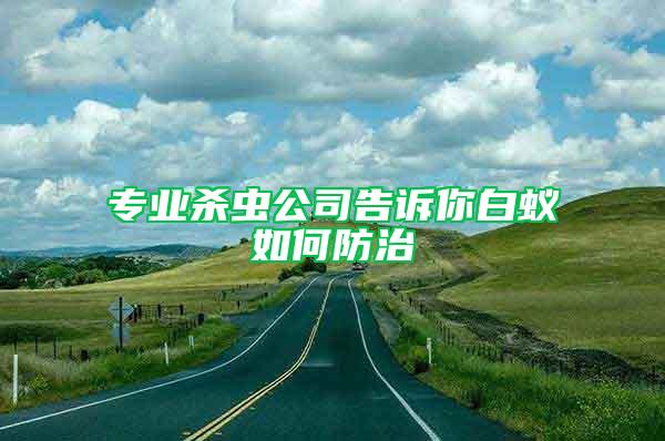 專業(yè)殺蟲公司告訴你白蟻如何防治