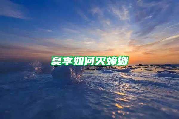 夏季如何滅蟑螂
