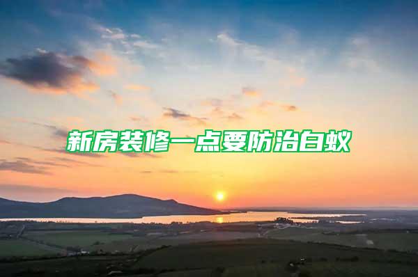 新房裝修一點(diǎn)要防治白蟻