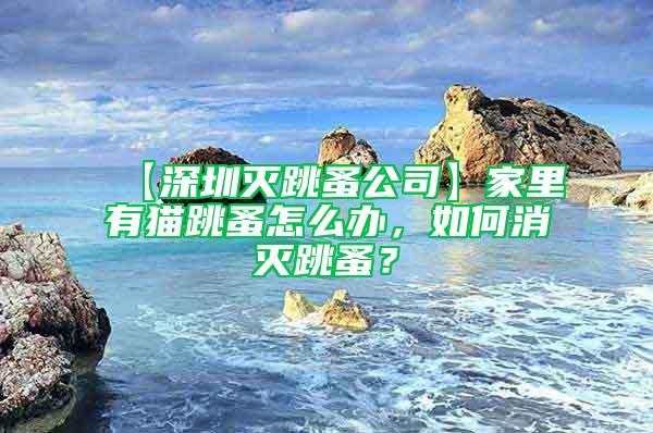 【深圳滅跳蚤公司】家里有貓?zhí)樵趺崔k，如何消滅跳蚤？