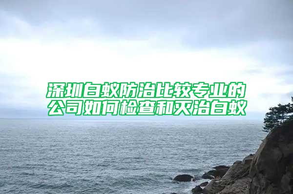 深圳白蟻防治比較專業(yè)的公司如何檢查和滅治白蟻