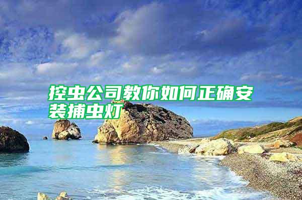 控蟲公司教你如何正確安裝捕蟲燈