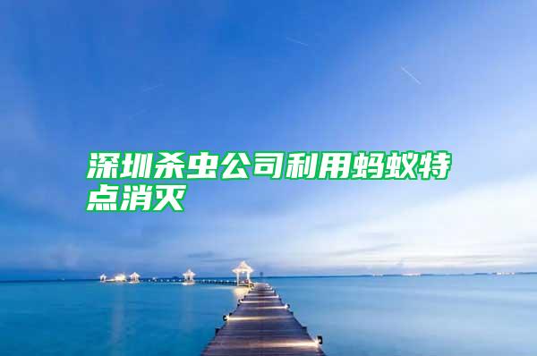 深圳殺蟲公司利用螞蟻特點消滅