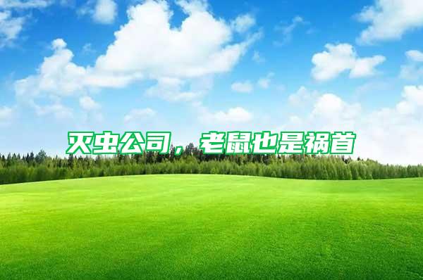 滅蟲公司，老鼠也是禍?zhǔn)?/></p>
             <p style=