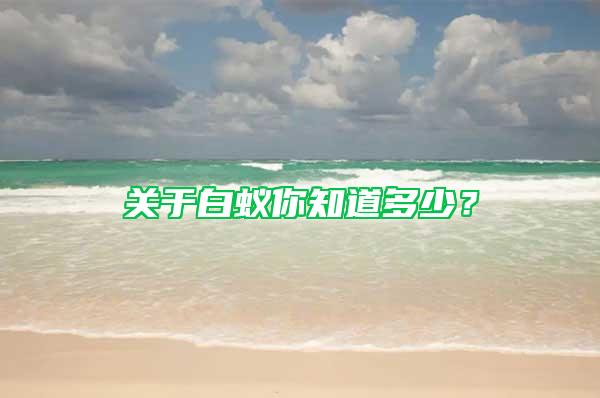 關(guān)于白蟻你知道多少？