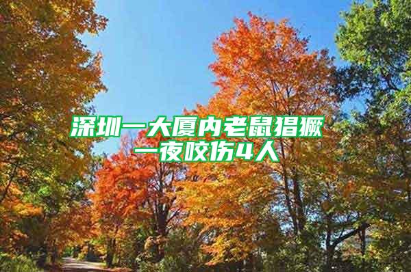 深圳一大廈內(nèi)老鼠猖獗 一夜咬傷4人