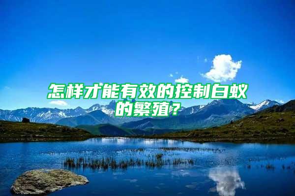 怎樣才能有效的控制白蟻的繁殖？