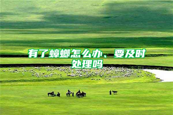 有了蟑螂怎么辦、要及時處理嗎