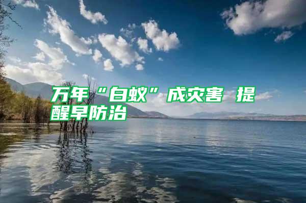 萬(wàn)年“白蟻”成災(zāi)害 提醒早防治