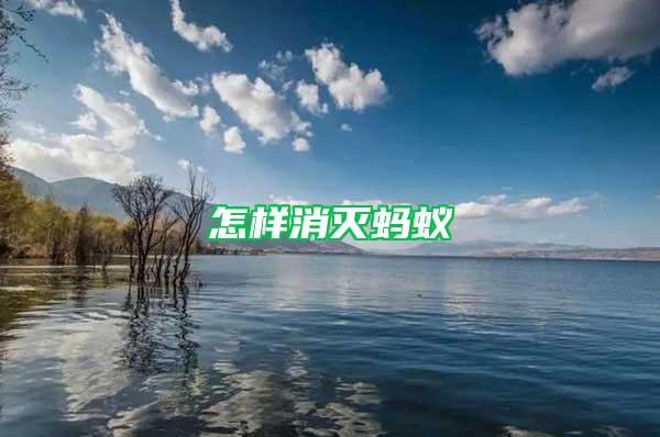 怎樣消滅螞蟻