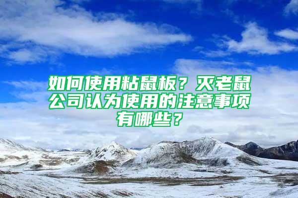 如何使用粘鼠板？滅老鼠公司認(rèn)為使用的注意事項有哪些？