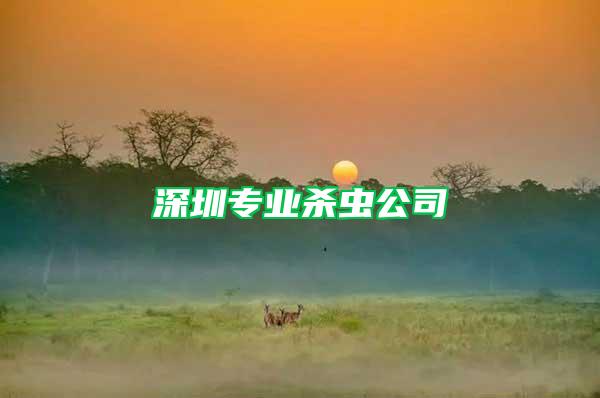 深圳專業(yè)殺蟲公司