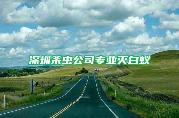 深圳殺蟲公司專業(yè)滅白蟻