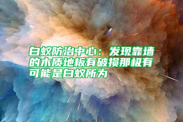 白蟻防治中心：發(fā)現(xiàn)靠墻的木質(zhì)地板有破損那極有可能是白蟻所為