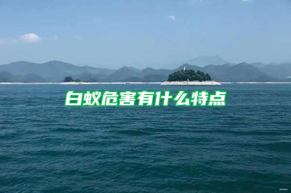 白蟻危害有什么特點