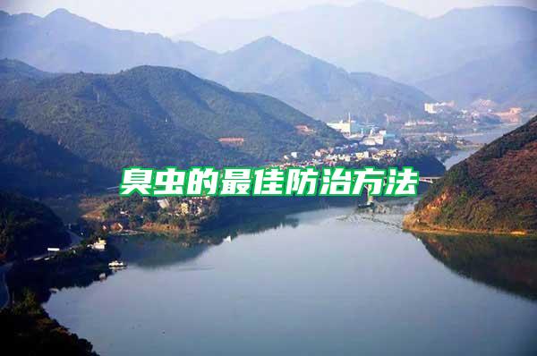 臭蟲的最佳防治方法