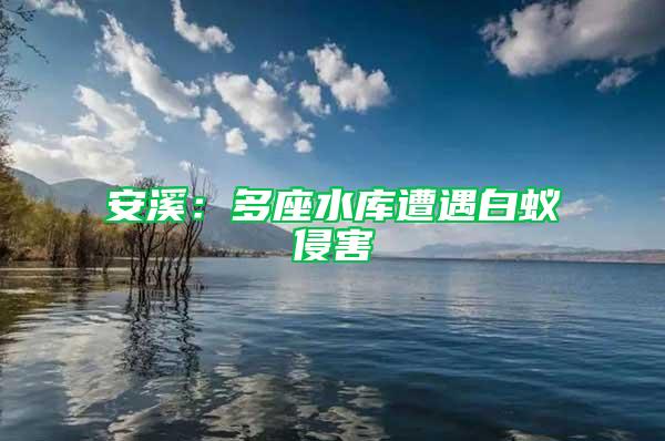 安溪：多座水庫遭遇白蟻侵害