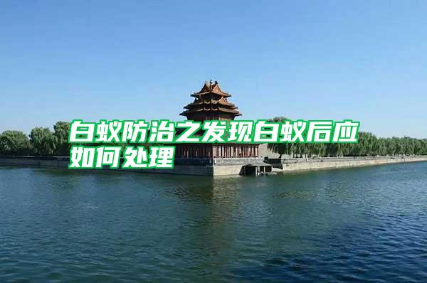 白蟻防治之發(fā)現(xiàn)白蟻后應(yīng)如何處理