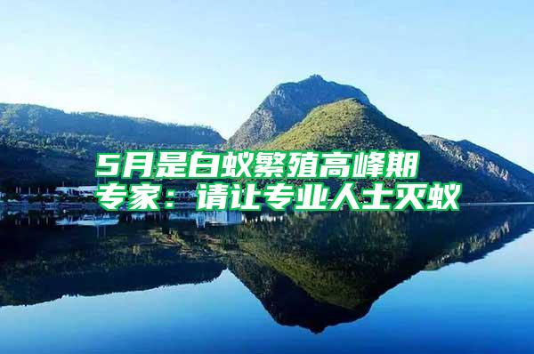 5月是白蟻繁殖高峰期 專家：請(qǐng)讓專業(yè)人士滅蟻