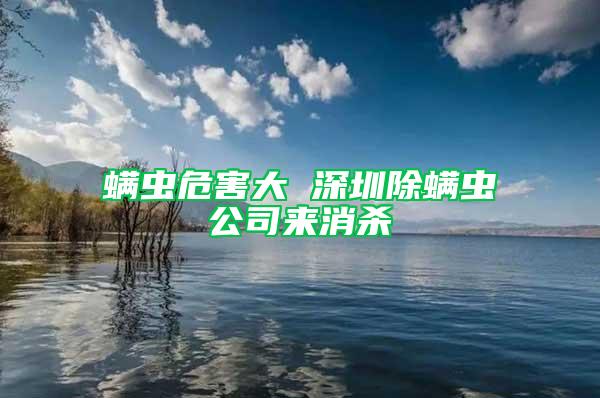 螨蟲(chóng)危害大 深圳除螨蟲(chóng)公司來(lái)消殺