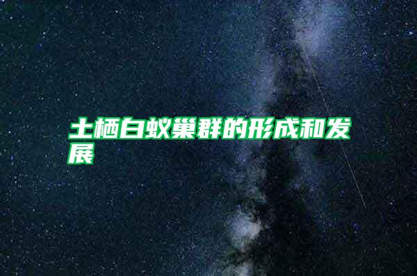 土棲白蟻巢群的形成和發(fā)展