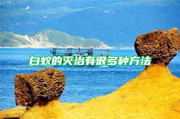 白蟻的滅治有很多種方法