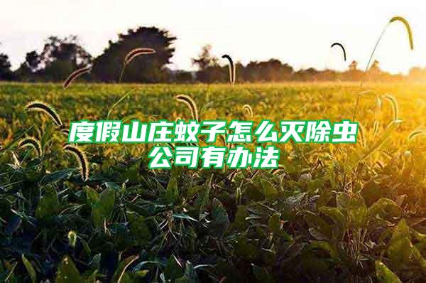 度假山莊蚊子怎么滅除蟲公司有辦法