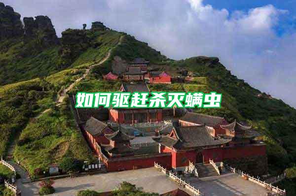 如何驅(qū)趕殺滅螨蟲