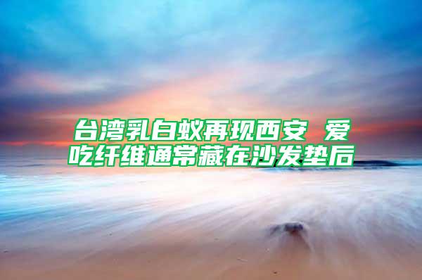 臺灣乳白蟻再現(xiàn)西安 愛吃纖維通常藏在沙發(fā)墊后