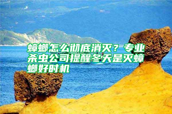 蟑螂怎么徹底消滅？專業(yè)殺蟲(chóng)公司提醒冬天是滅蟑螂好時(shí)機(jī)
