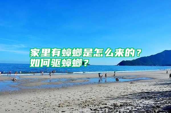 家里有蟑螂是怎么來的？如何驅蟑螂？