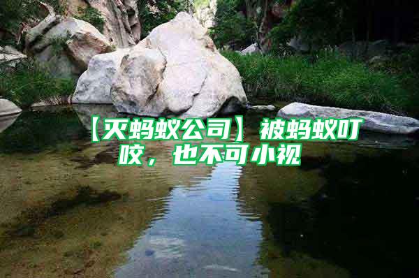 【滅螞蟻公司】被螞蟻叮咬，也不可小視