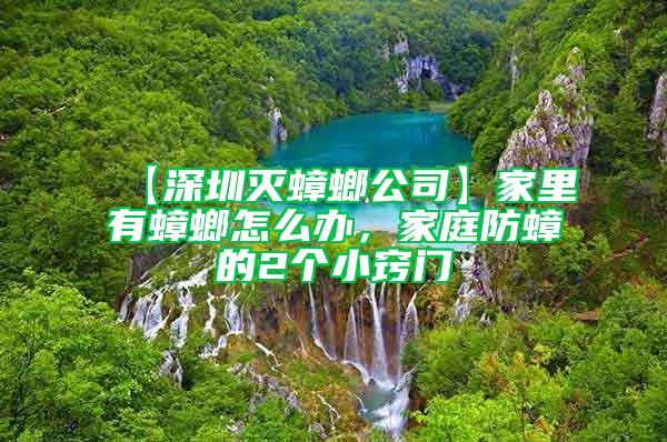 【深圳滅蟑螂公司】家里有蟑螂怎么辦，家庭防蟑的2個(gè)小竅門