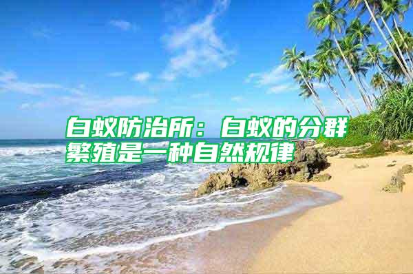 白蟻防治所：白蟻的分群繁殖是一種自然規(guī)律