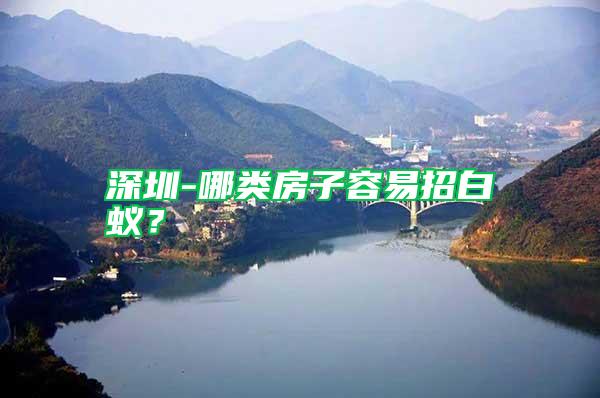 深圳-哪類房子容易招白蟻？