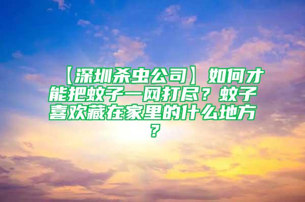 【深圳殺蟲(chóng)公司】如何才能把蚊子一網(wǎng)打盡？蚊子喜歡藏在家里的什么地方？