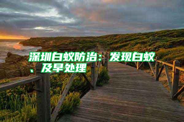 深圳白蟻防治：發(fā)現(xiàn)白蟻、及早處理