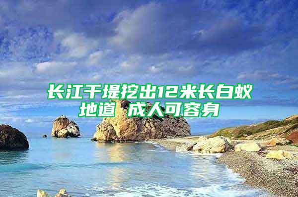 長江干堤挖出12米長白蟻地道 成人可容身