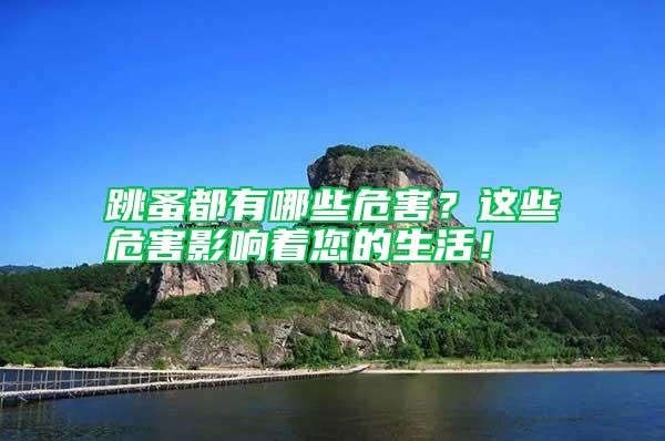 跳蚤都有哪些危害？這些危害影響著您的生活！