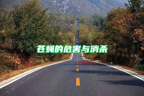 蒼蠅的危害與消殺
