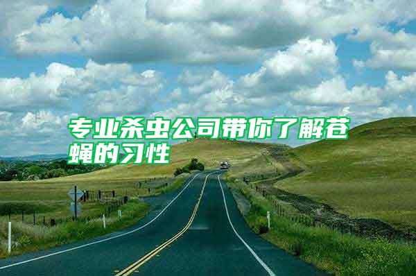 專業(yè)殺蟲公司帶你了解蒼蠅的習(xí)性