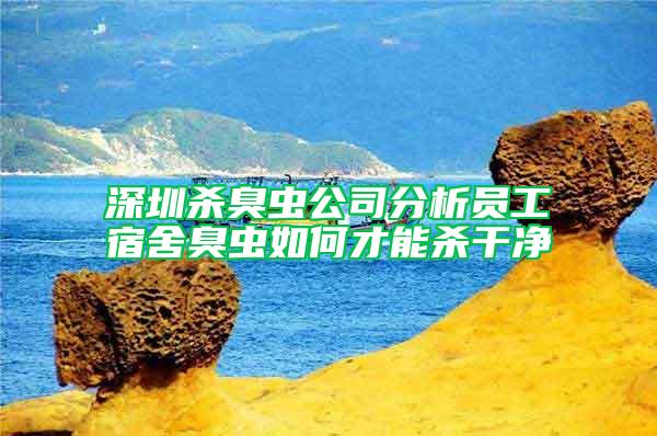 深圳殺臭蟲公司分析員工宿舍臭蟲如何才能殺干凈