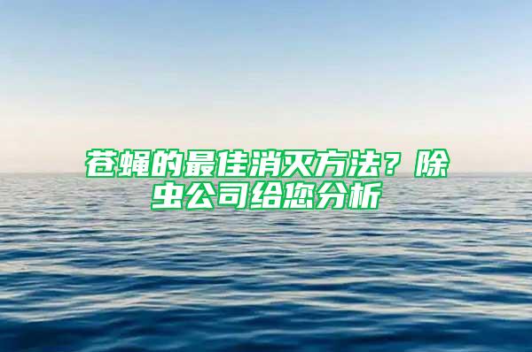 蒼蠅的最佳消滅方法？除蟲公司給您分析
