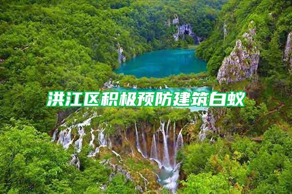 洪江區(qū)積極預防建筑白蟻