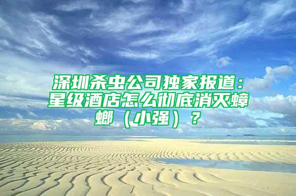 深圳殺蟲公司獨家報道：星級酒店怎么徹底消滅蟑螂（小強）？