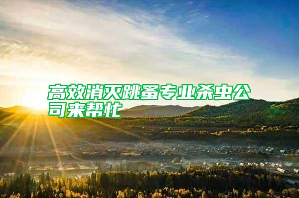 高效消滅跳蚤專業(yè)殺蟲公司來幫忙