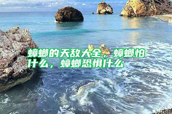 蟑螂的天敵大全，蟑螂怕什么，蟑螂恐懼什么