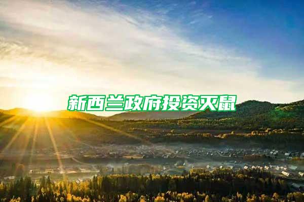 新西蘭政府投資滅鼠